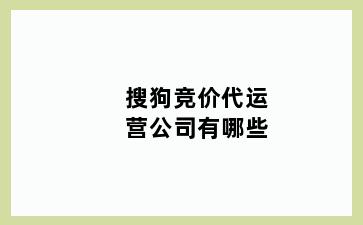 搜狗竞价代运营公司有哪些