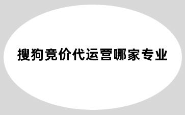 搜狗竞价代运营哪家专业