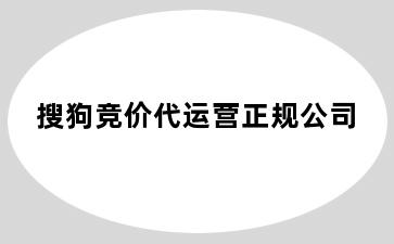 搜狗竞价代运营正规公司