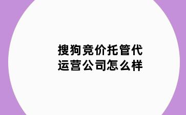 搜狗竞价托管代运营公司怎么样