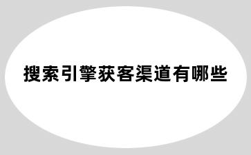 搜索引擎获客渠道有哪些