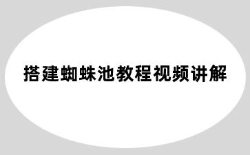 搭建蜘蛛池教程视频讲解