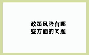 政策风险有哪些方面的问题