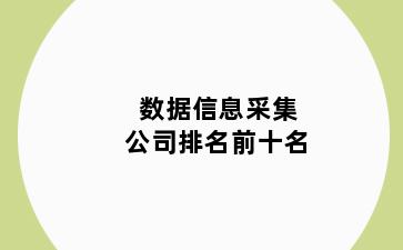 数据信息采集公司排名前十名