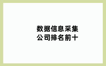 数据信息采集公司排名前十