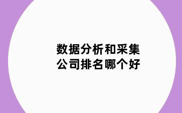 数据分析和采集公司排名哪个好