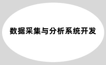 数据采集与分析系统开发