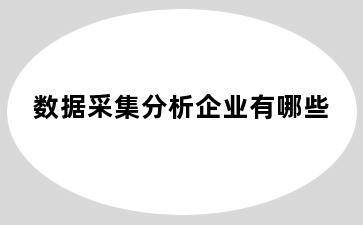 数据采集分析企业有哪些