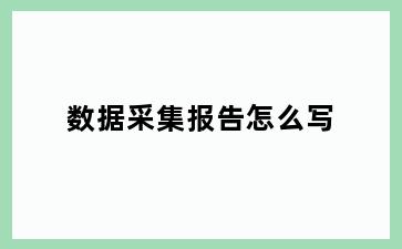 数据采集报告怎么写