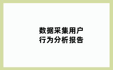 数据采集用户行为分析报告