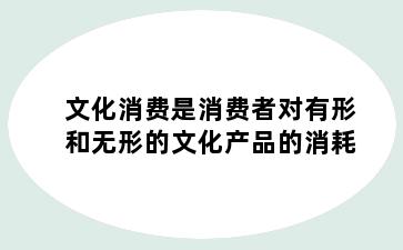 文化消费是消费者对有形和无形的文化产品的消耗