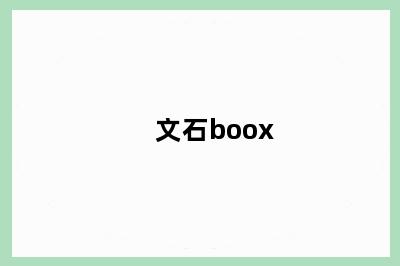 文石boox