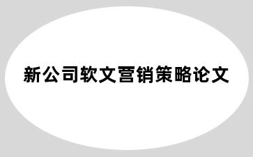 新公司软文营销策略论文