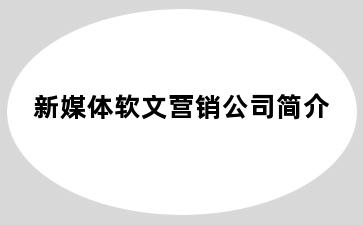 新媒体软文营销公司简介