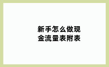 新手怎么做现金流量表附表