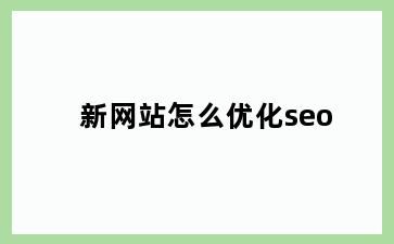 新网站怎么优化seo