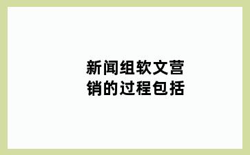 新闻组软文营销的过程包括