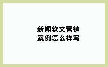 新闻软文营销案例怎么样写