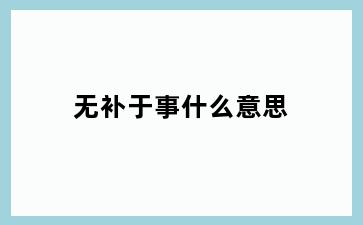 无补于事什么意思