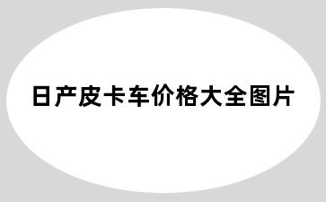 日产皮卡车价格大全图片