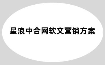 星浪中合网软文营销方案