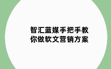 智汇蓝媒手把手教你做软文营销方案