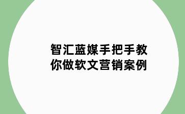 智汇蓝媒手把手教你做软文营销案例