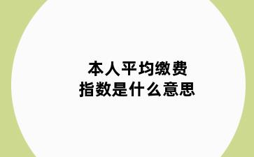 本人平均缴费指数是什么意思