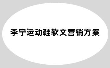 李宁运动鞋软文营销方案