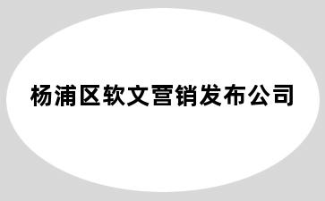 杨浦区软文营销发布公司