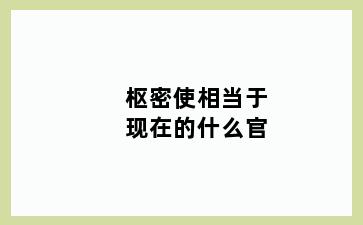 枢密使相当于现在的什么官