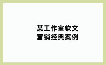 某工作室软文营销经典案例