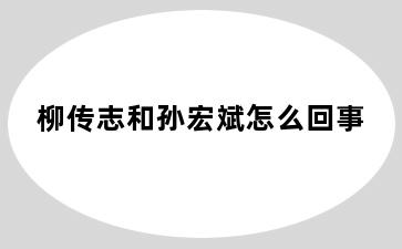 柳传志和孙宏斌怎么回事