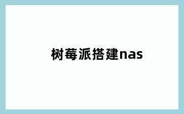 树莓派搭建nas