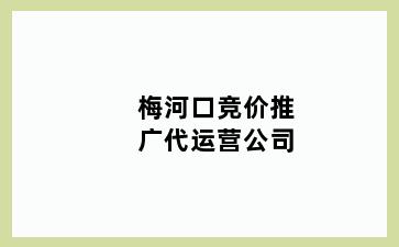 梅河口竞价推广代运营公司