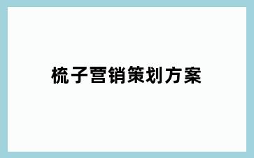 梳子营销策划方案