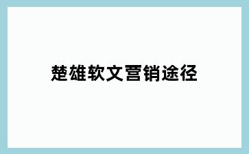 楚雄软文营销途径