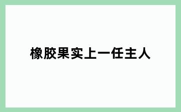 橡胶果实上一任主人