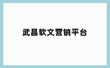 武昌软文营销平台