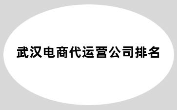 密云县电商代运营公司排名