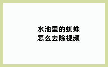 水池里的蜘蛛怎么去除视频