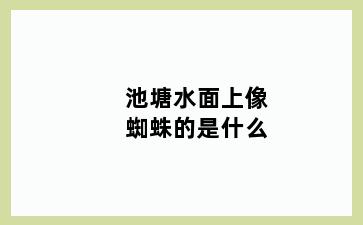 池塘水面上像蜘蛛的是什么