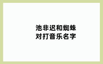 池非迟和蜘蛛对打音乐名字