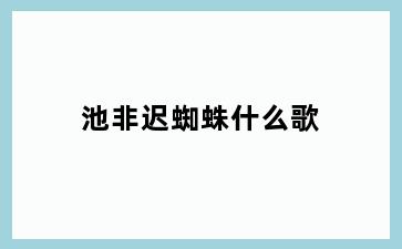 池非迟蜘蛛什么歌