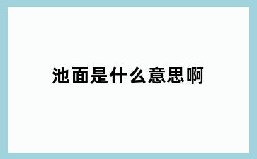 池面是什么意思啊