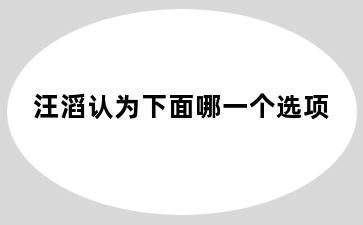 汪滔认为下面哪一个选项