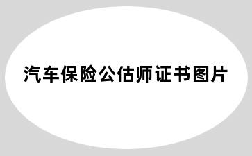 汽车保险公估师证书图片