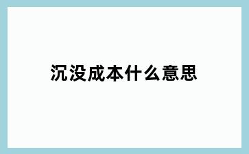 沉没成本什么意思