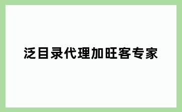 泛目录代理加旺客专家