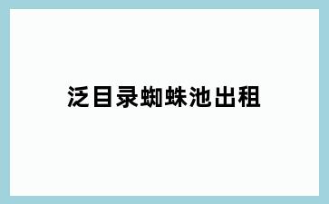 泛目录蜘蛛池出租